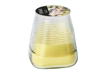 Žvakė nuo uodų CETRONELLA LEMON,45h