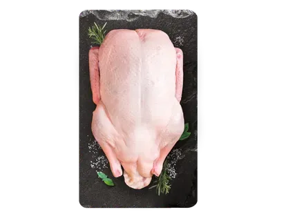 Salas Zivis Pīle ar kaklu 1.5kg