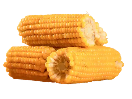 Vārīta saldā kukurūza 400g