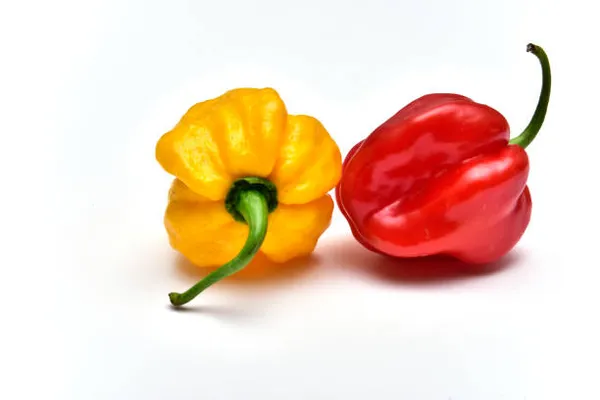 Aitriųjų pipirų HABANERO mix, kg