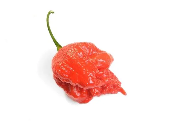 Aitrusis pipiras CAROLINA, 50 g