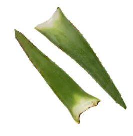 Alavijo lapai, kg