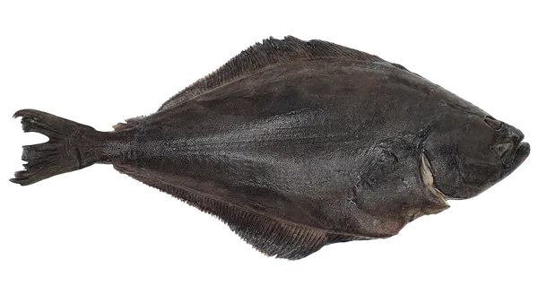 Atlantinis paltusas, skrostas, su galva, 1-3 kg