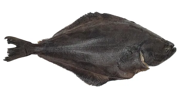 Atlantinis paltusas, skrostas, su galva,  7 -10 kg