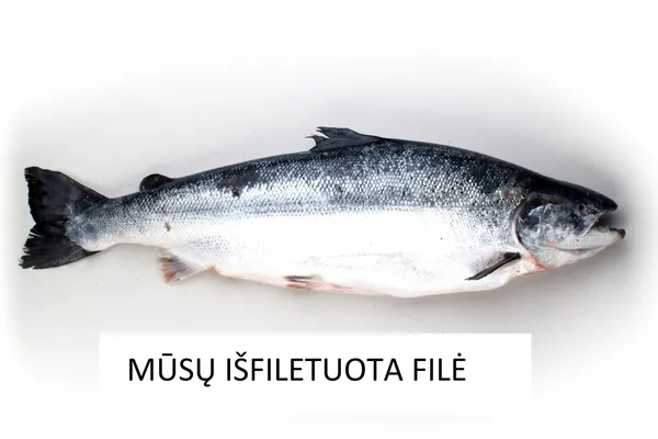 Atvėsinta atl. lašišų filė nevak, su oda, kg 1,4+ darbinis