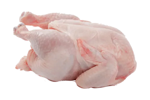 Atvėsintas viščiukas broileris, vakuume, 1,6 - 2,2 kg