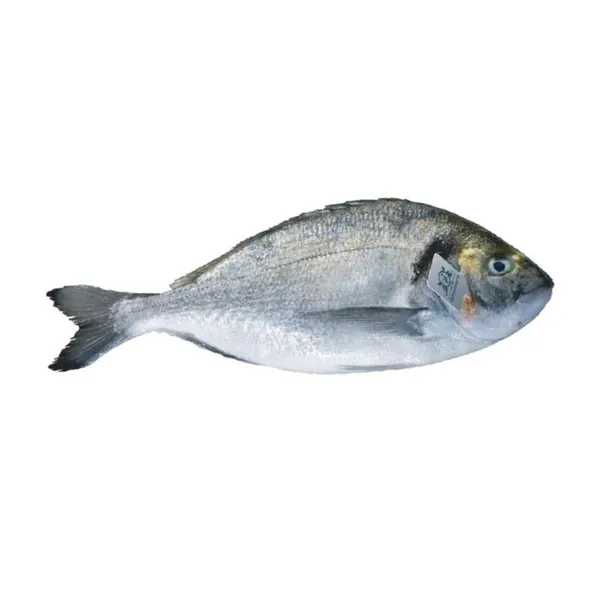 Auksaspalvė dorada, neskrosta, ~0,45kg