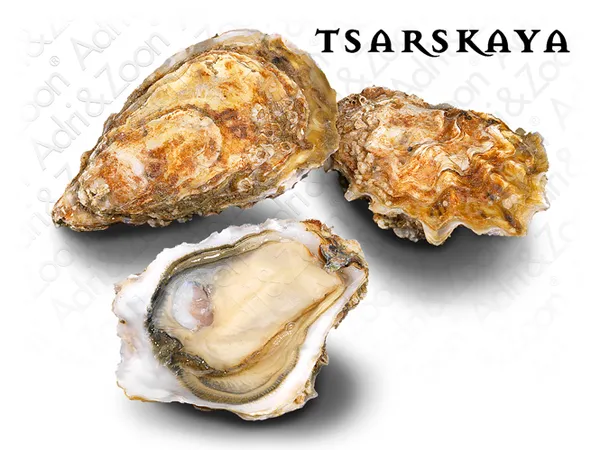 Austrės ADRI & ZOON Tsarskaya 2, 80-120 g, 24 vnt.