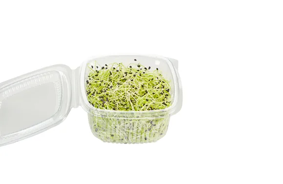Česnakų daigai 50 g, GN1