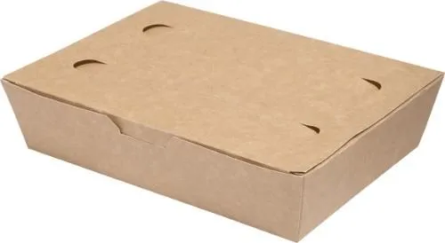 Dėžutė SUSHI, be plastiko, popierius, 20 x 14 cm, H 5 cm, 100 vnt.