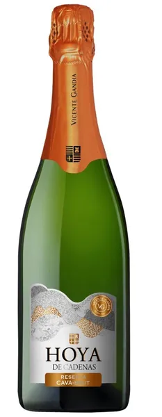 Ekologiškas putojantis vynas HOYA DE CADENAS, Cava brut reserva, 11,5%, 0,75 l LT-EKO-001