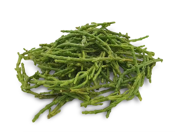 Europinė salikornija, 1 kg
