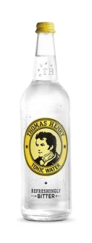 Gazuotas gaivusis gėrimas THOMAS HENRY WILD BERRY, 750 ml