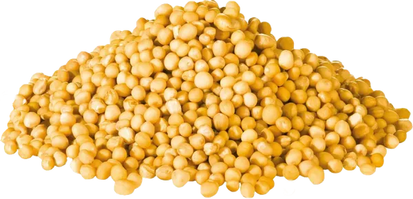 Geltonųjų garstyčių sėklos, 500g