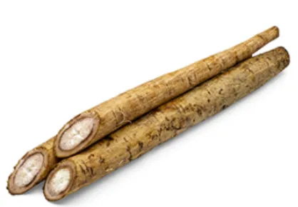 Gobo šaknis, kg