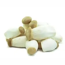 Sēnes mini karaliskās austersēnes, 100g, gab