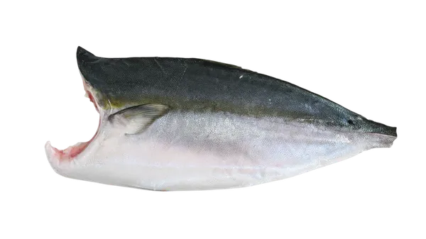 Japoninės seriolės (Hamachi) filė, su oda, ~12kg