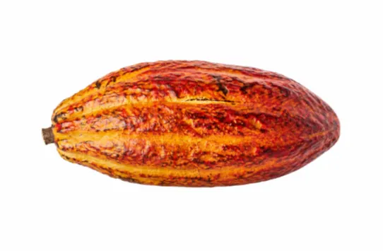 Kakavos vaisius, vnt