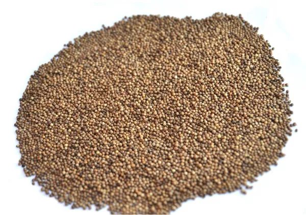 Kalendrų sėklos, maltos, 500 g