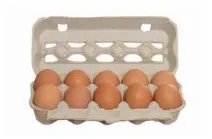 Olas brūnas, A/M/10, nr.2, kūtī dētas, GINKŪNU PAUKŠTYNAS