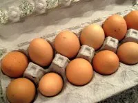 Olas brūnas, A/M/10, nr.3, GINKŪNU PAUKŠTYNAS