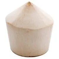 Kokoso riešutai, švieži, vnt.