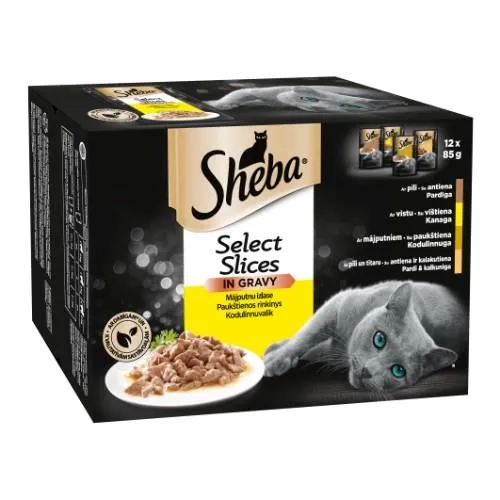 Konservuotas kačių ėdalas SHEBA, su paukštiena padaže, dėžutėje, 12 x 85 g