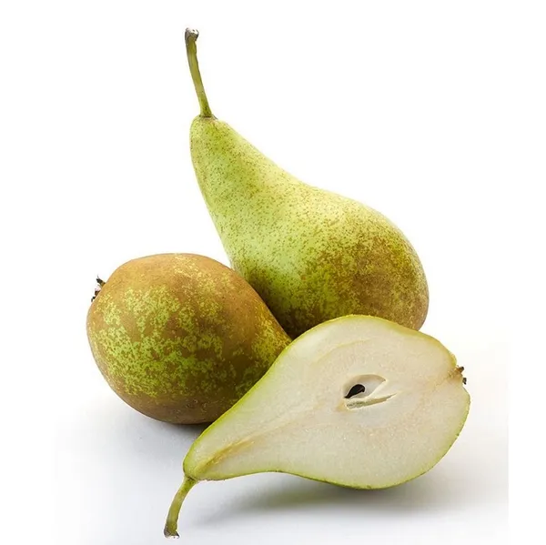 Bumbieri "Conference"mazie 45/55 kal., 2.šķ, kg