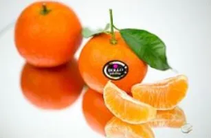 Mandarinai BOLLO, kg