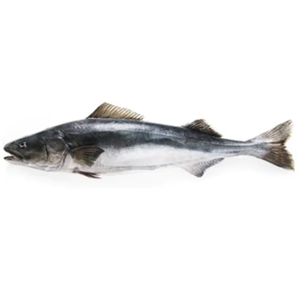 Mažoji angliažuvė, skrosta, 1,8-2,7 kg, užauginta ūkyje