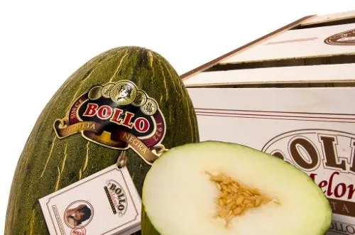 Melone Piel De Sapo "BOLLO", kg