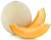 Melionai CANTALOUPE, I kl.,kg