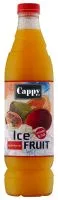 Negazuotas vaisinis multivitaminų gaiv. gėrimas CAPPY, 1,5 l D