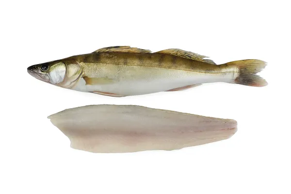 Paprastasis sterkas, neskrostas, 1-2 kg