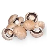 Pievagrybiai, rudieji, I klasė, 400 g, JSC