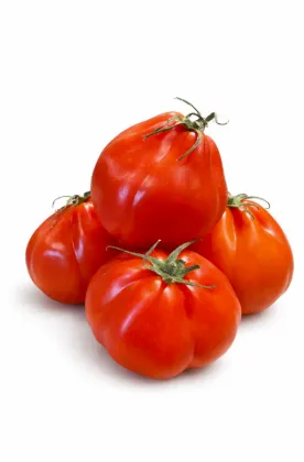 Pomidorai CUORE ROSSO, I klasė, kg