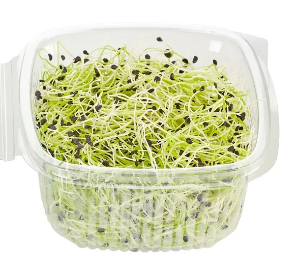 Porų daigai, 50 g