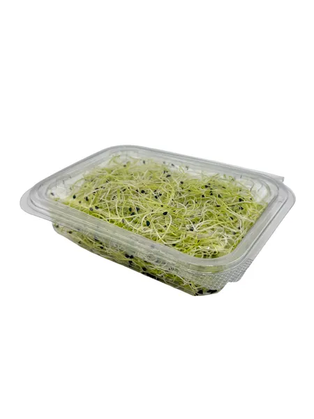 Porų daigai LEAFOOD, 50g