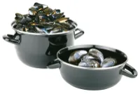 Puodas midijoms patiekti, emaliuotas plienas, 2,6/1,4 l, D 18 cm, H 12 cm, vnt