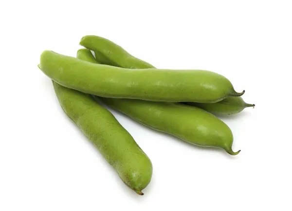 Pupos FAVA, I klasė, kg
