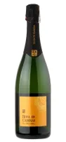 Putojantis vynas HOYA DE CADENAS, Cava Brut Nature Blanco, 11,5 %, 6 x 0,75 l