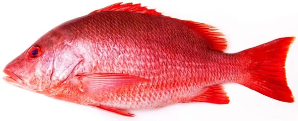 Rausvasis rifešeris, skrostas, su galva,~1kg