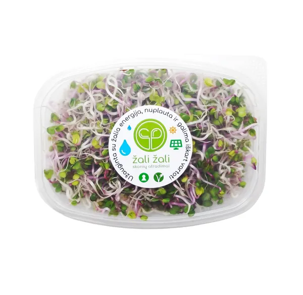 Ridikėlių daigai ŽALI ŽALI, violetiniai, 60 g