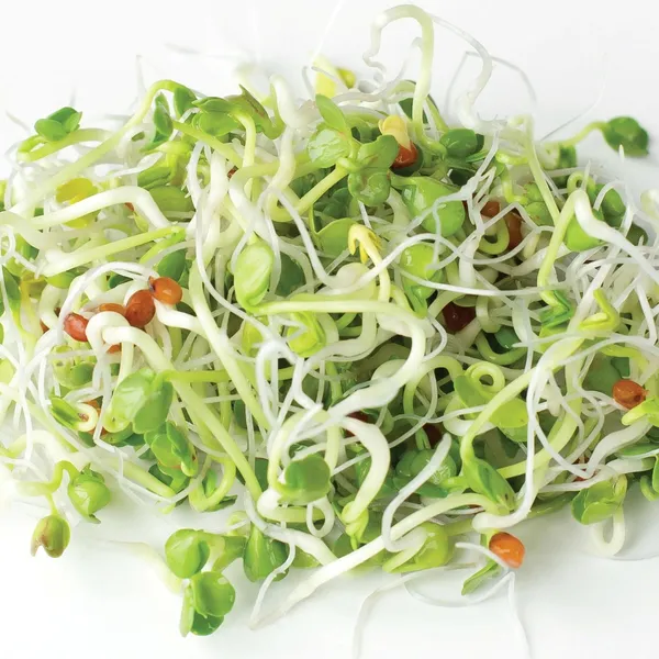 Ridikėlių (Daikon) daigai, 50 g