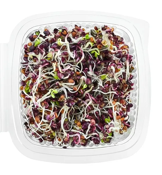 Ridikėlių (Red) daigai, 50 g