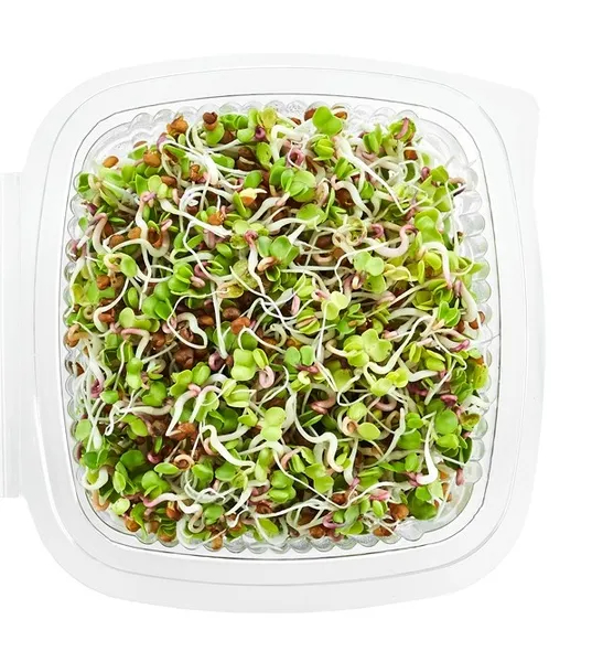 Ridikėlių (Rose) daigai, 50 g