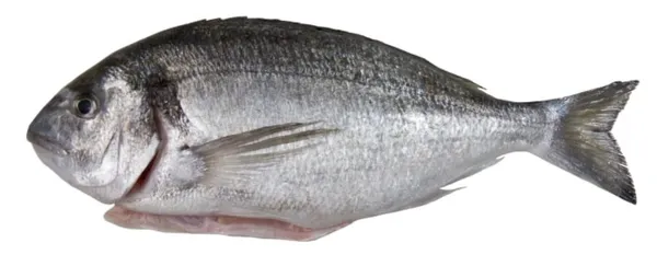 Šaldyta auksaspalvė dorada su galva, skrosta, 300-400g, 20% glazūra,5kg