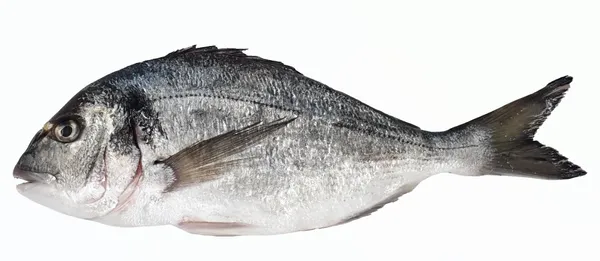 Šaldyta dorada su galva, skrosta, 300 - 400, glazuruota, ~1 kg