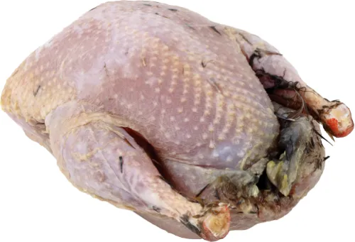 Šaldyta kurapka 250+ g, Anglija