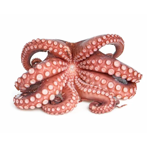 Šaldytas aštuonkojis, virtas, 550/800g